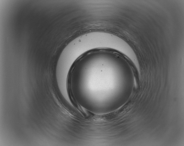 X0000073390456200608040905
