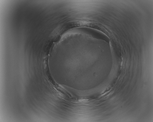 X0000073390462200608040905