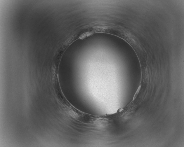 X0000073390463200608040906