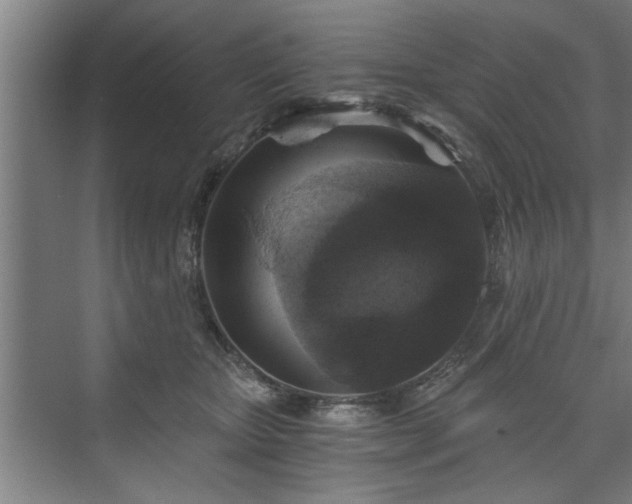 X0000073390467200608040906