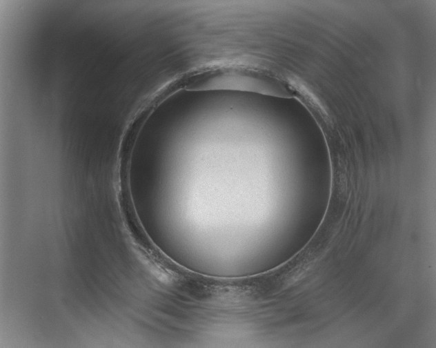 X0000073390486200608040905