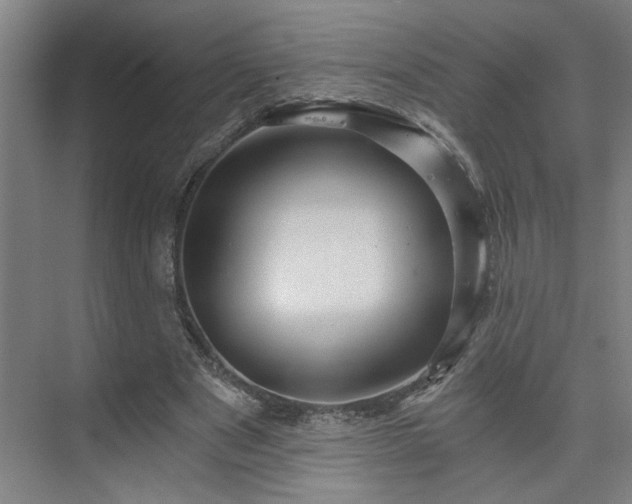 X0000073390489200608040905