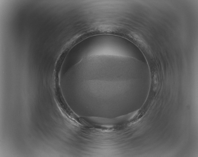 X0000073390492200608040905