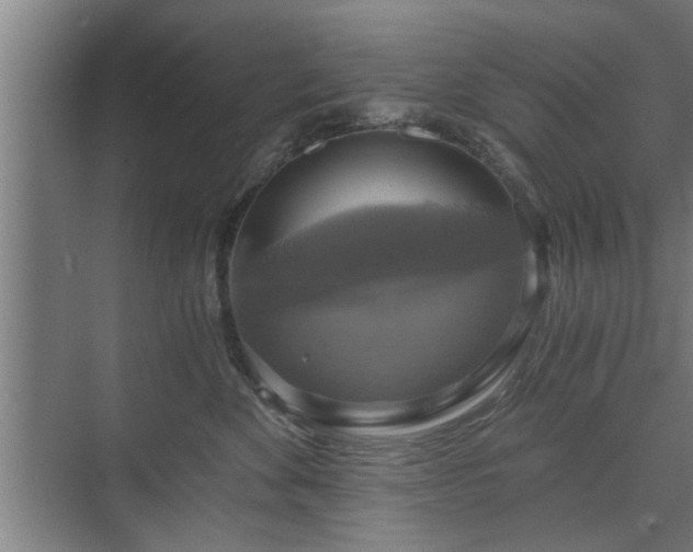 X0000073390524200608040904