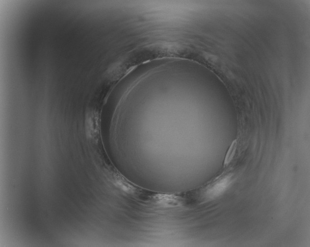 X0000073390528200608040904