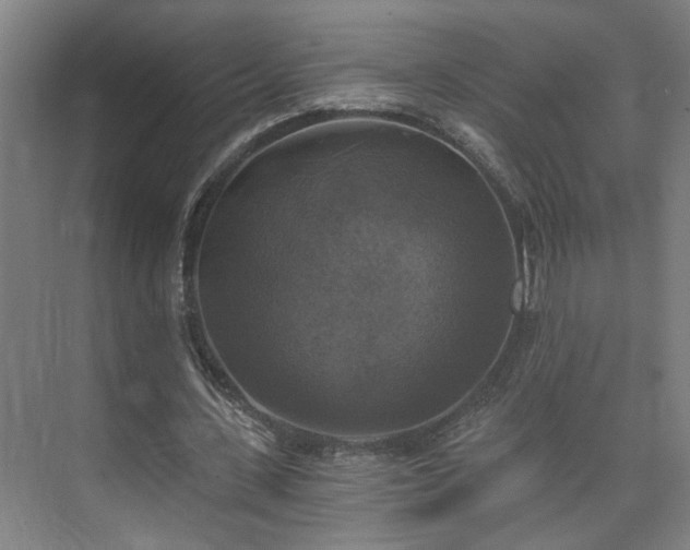 X0000073390531200608040903