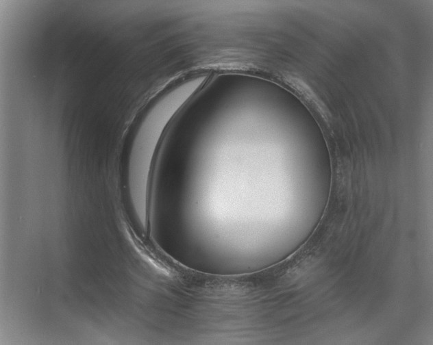 X0000073390533200608040903