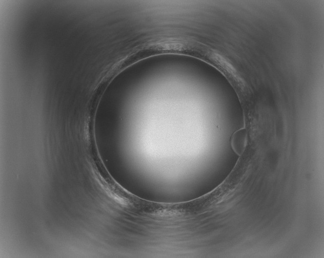 X0000073390537200608040904
