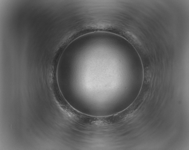X0000073390544200608040904