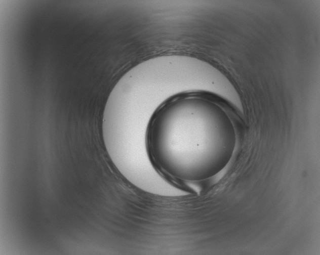 X0000073390576200608040904