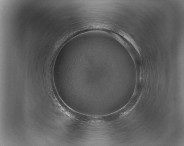 X0000073390577200608040903