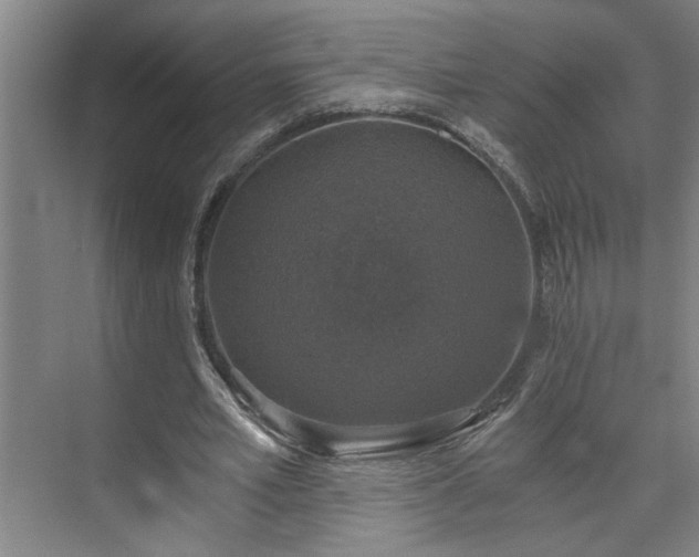 X0000073390581200608040903