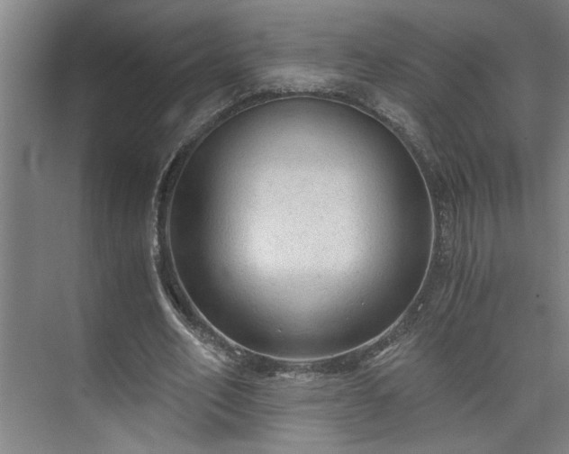 X0000073390582200608040903