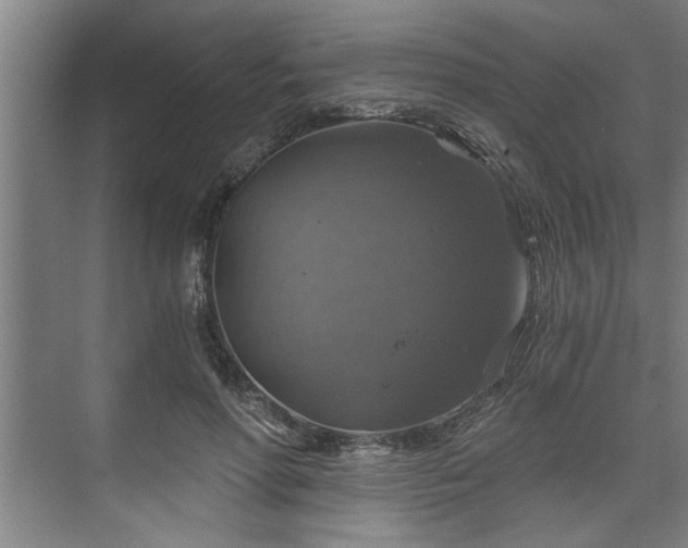 X0000073390598200608040903