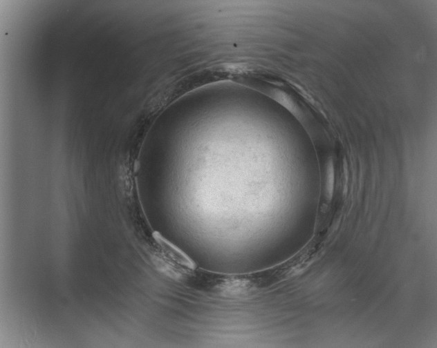 X0000073390609200608040903