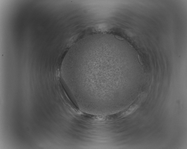 X0000073390624200608040903