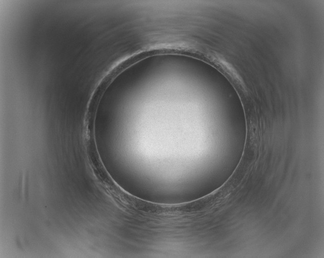 X0000073390628200608040902