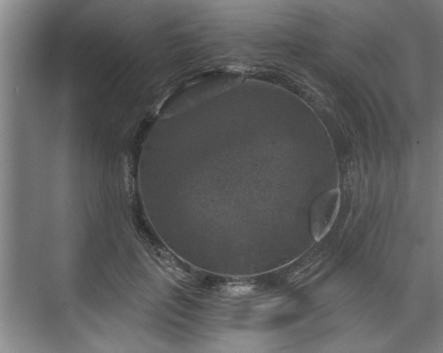 X0000073390651200608040902