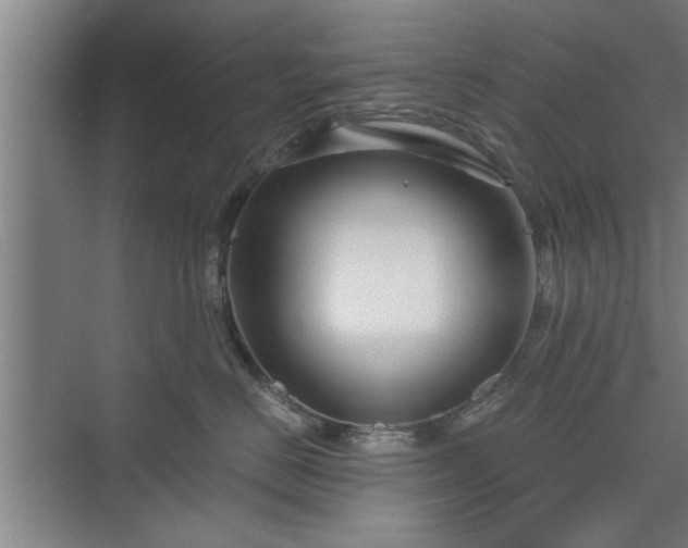 X0000073390670200608040903