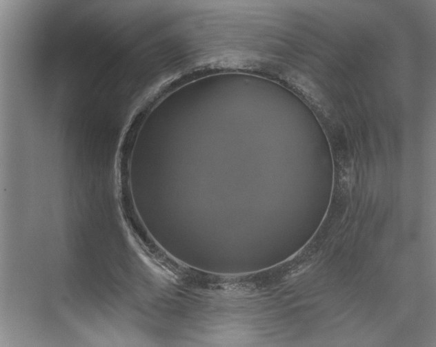 X0000073390678200608040902