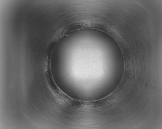 X0000073390694200608040901