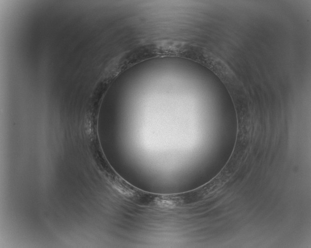 X0000073390706200608040901