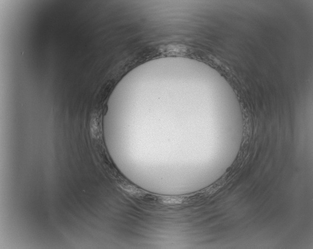 X0000073390709200608040901