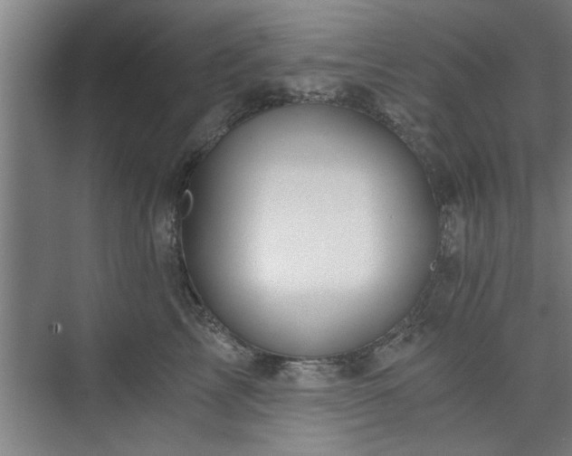 X0000073390713200608040901