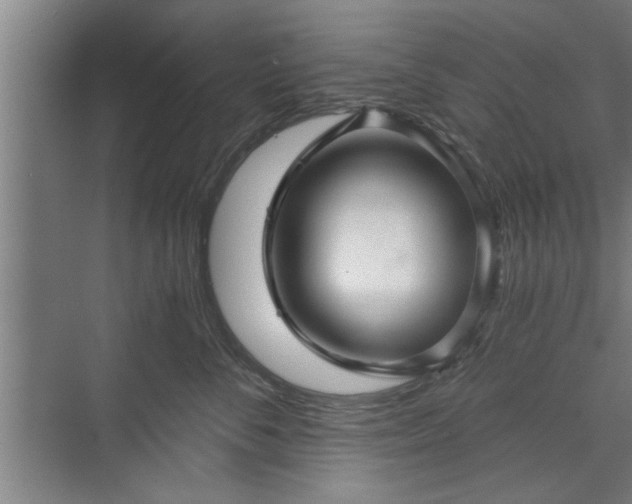X0000073390716200608040901