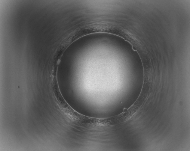 X0000073390737200608040900