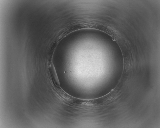 X0000073390749200608040901