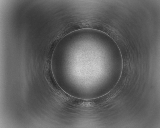 X0000073390751200608040901
