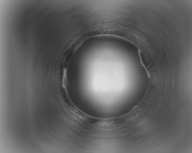 X0000073390756200608040901