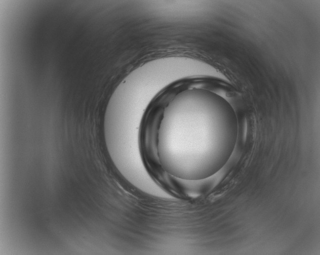 X0000073390760200608040901