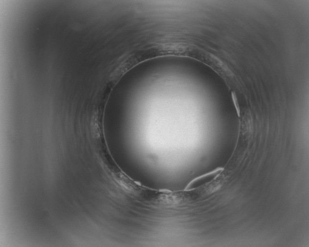 X0000073390764200608040901
