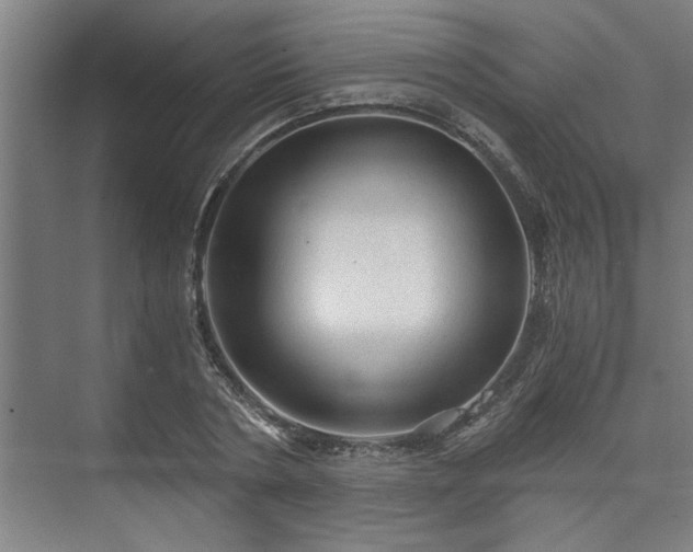 X0000073390786200608040900