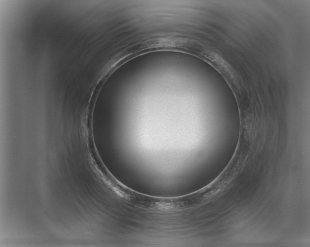 X0000073390794200608040900