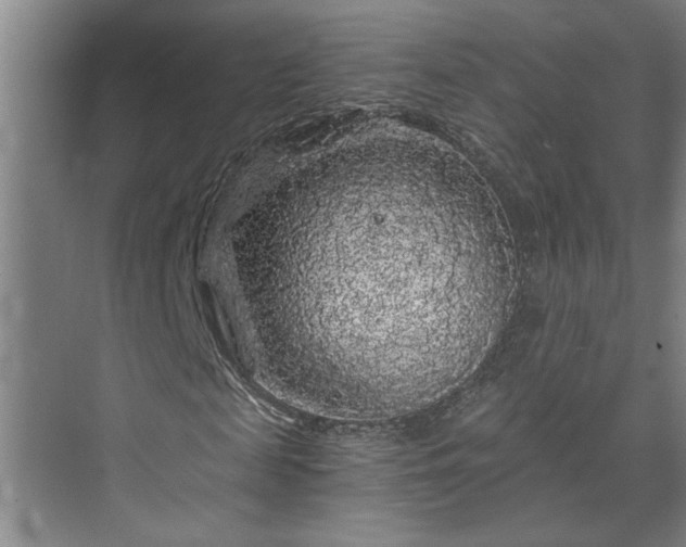 X0000073390817200608040859
