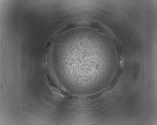 X0000073390819200608040859