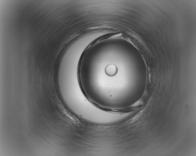 X0000073390826200608040859