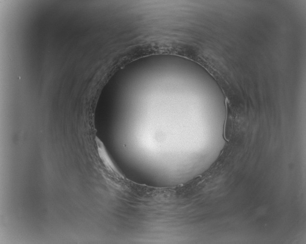 X0000073390865200608040859