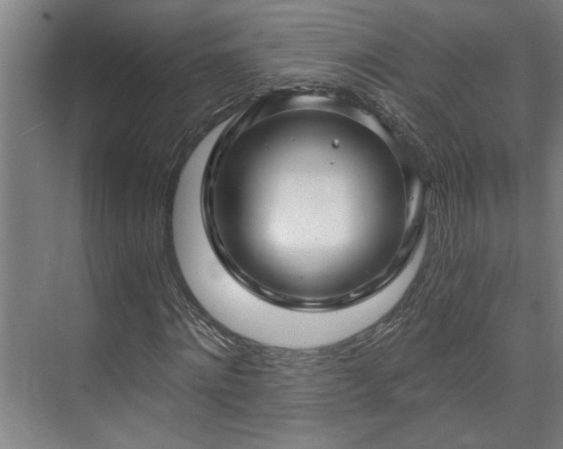 X0000073390868200608040858