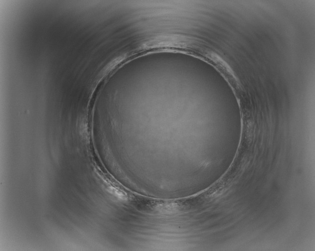 X0000073390882200608040858