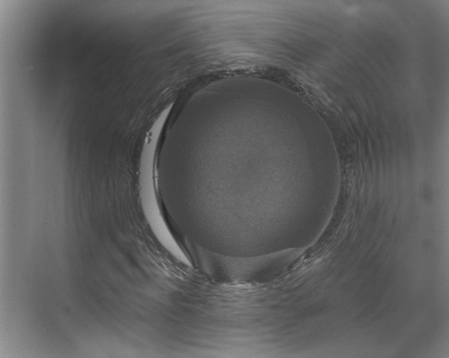 X0000073390916200608040857