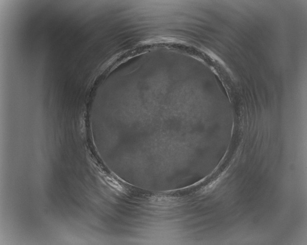 X0000073390921200608040857