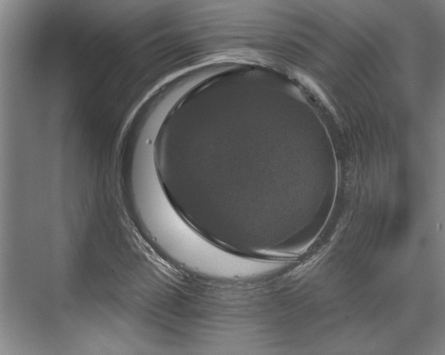 X0000073390923200608040857
