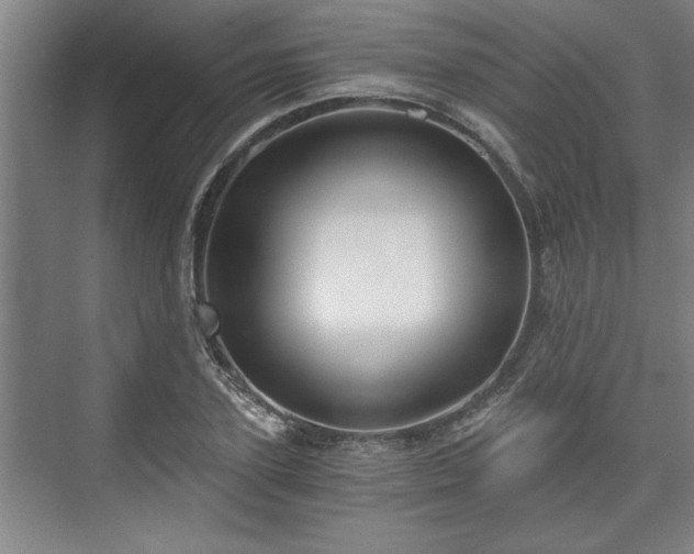 X0000073390931200608040857