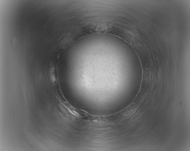 X0000073390962200608040857