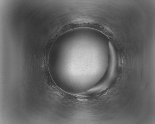 X0000073390965200608040857