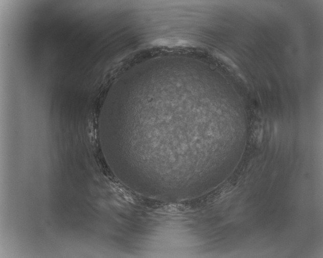 X0000073390966200608040857